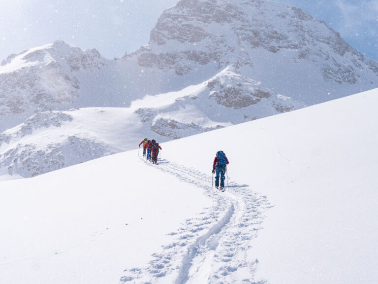 Mountain Network - toerskiën Silvretta42