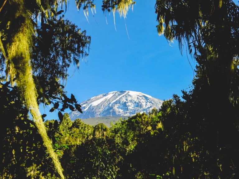 uitzicht kilimanjaro