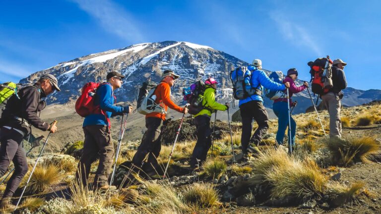 Mountain Network - Kilimanjaro-24