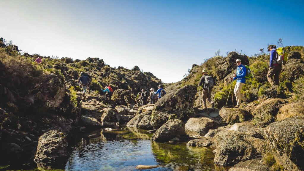 natuur kilimanjaro