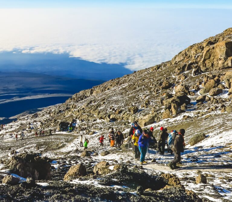 Mountain-Network-Kilimanjaro-27-1