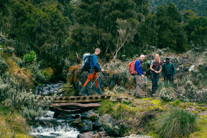 Margherita Peak - Rwenzori - Mountain Beat