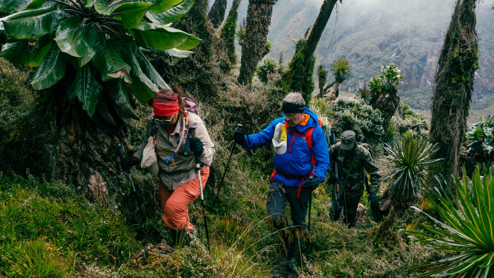 Margherita Peak - Rwenzori - Mountain Beat